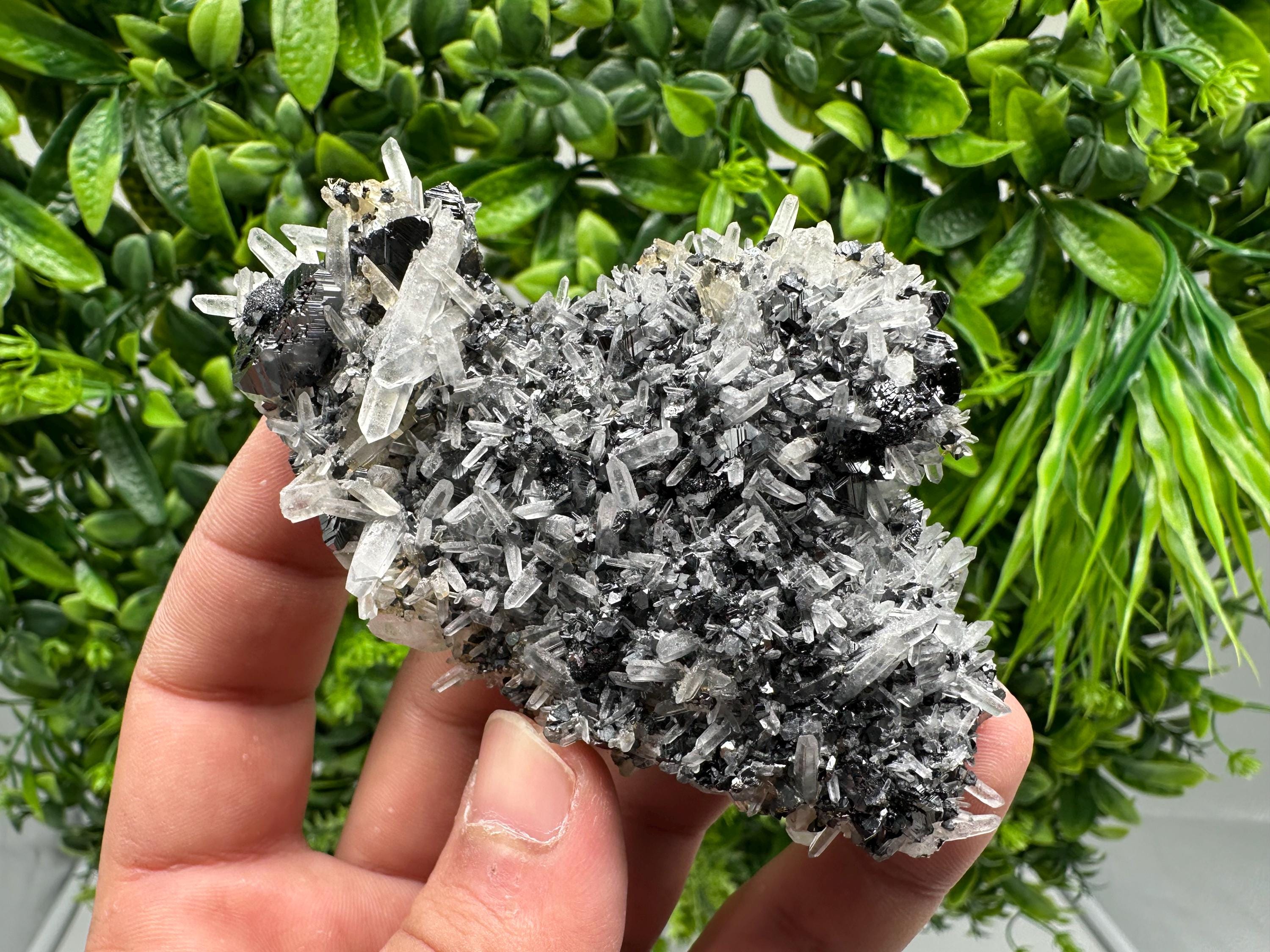 Wonderful Sphalerite Chalcopyrite on  Quartz whit Galena feom 9 th September mine,Bulgaria,natural,collection mineral specimen,gift