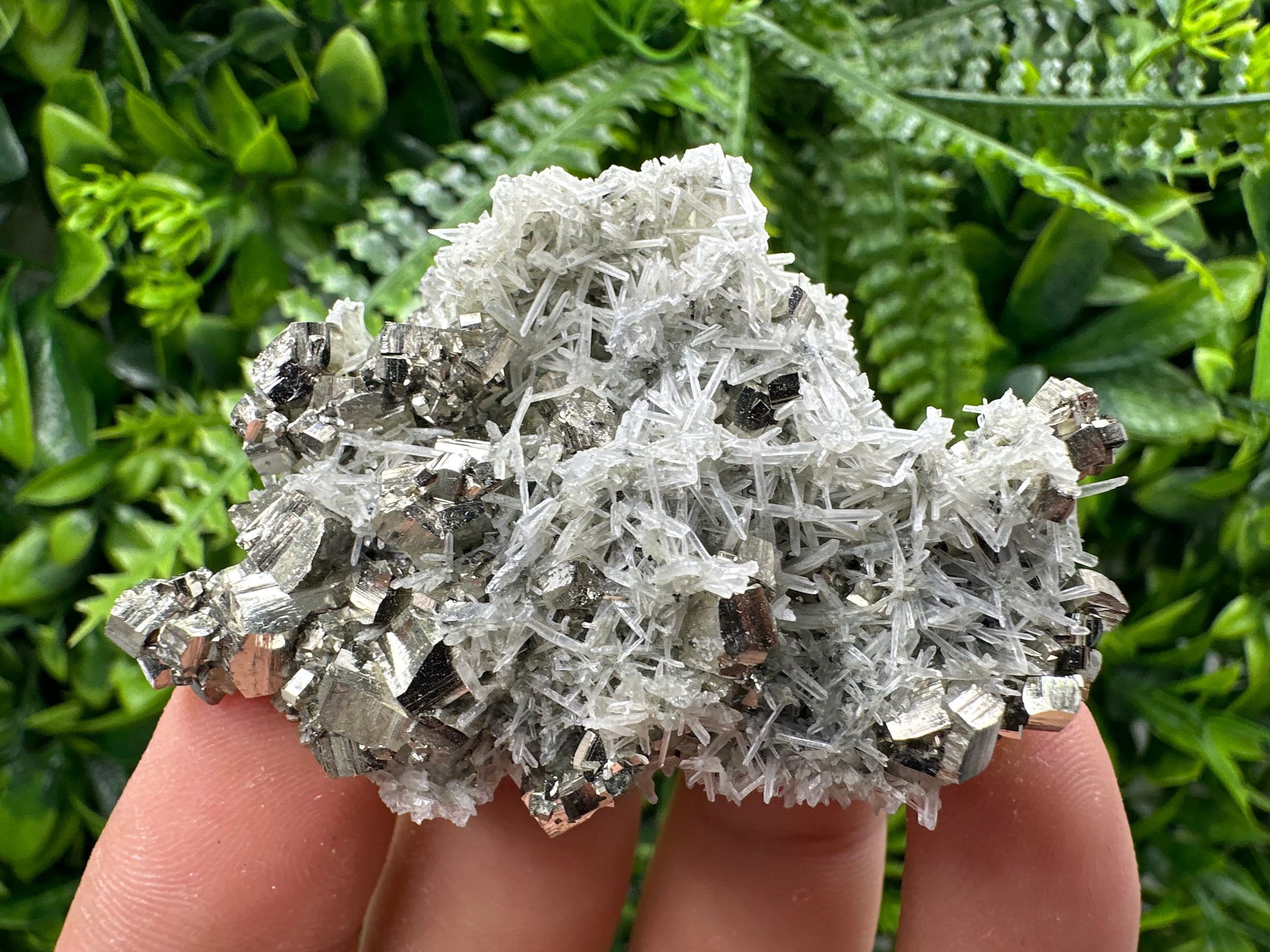 Pyrite on Green Quartz Specimen, Borieva Mine, Bulgaria