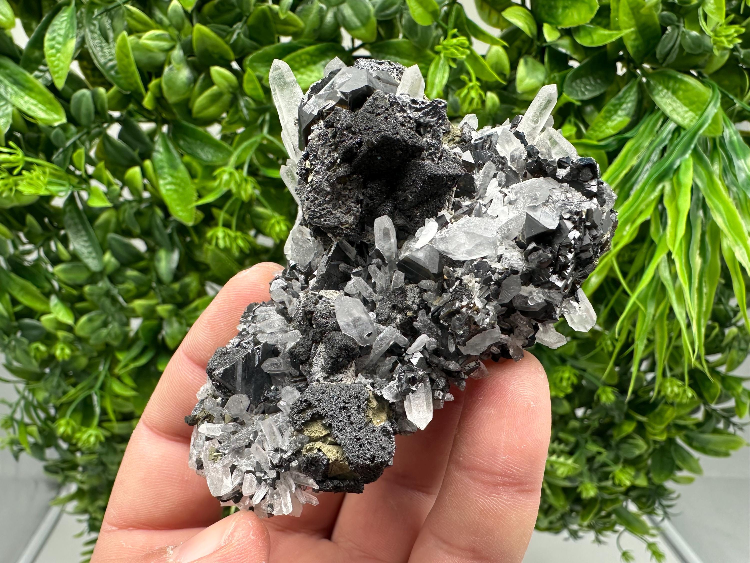 Wonderful Sphalerite Chalcopyrite on  Quartz whit Galena feom 9 th September mine,Bulgaria,natural,collection mineral specimen,gift