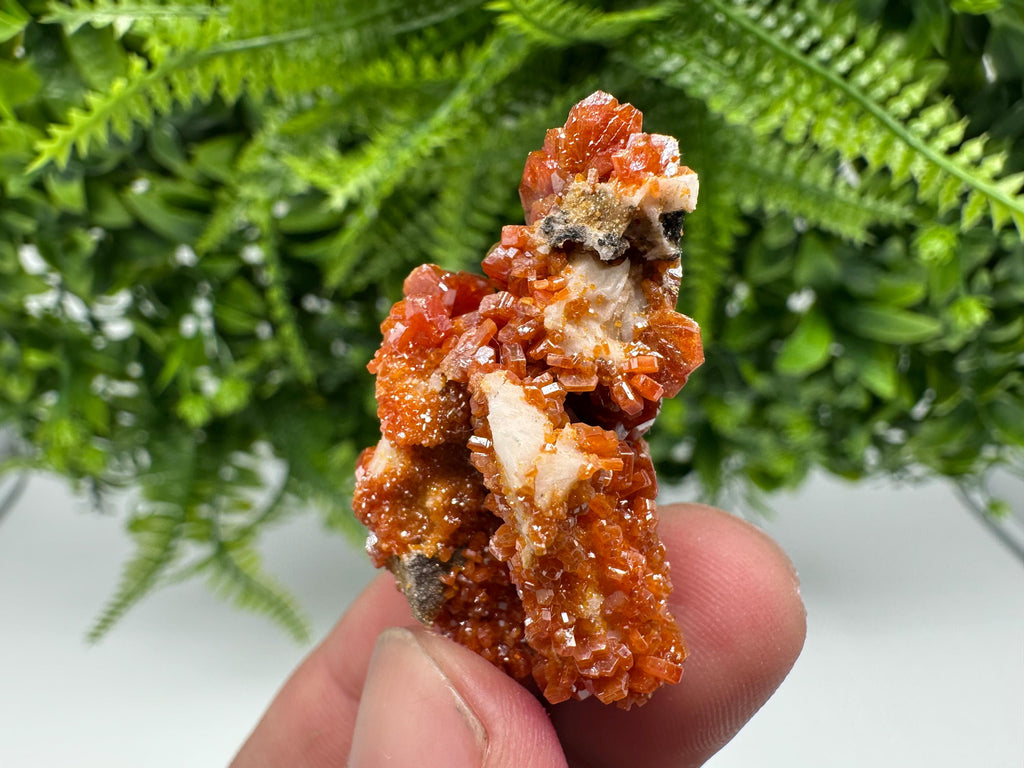 Red Vanadinite on Barite from Marocco,crystal minerals Speciment cluster Vanadinite crystal Vanadinite Geology Vanadinite cluster minerals