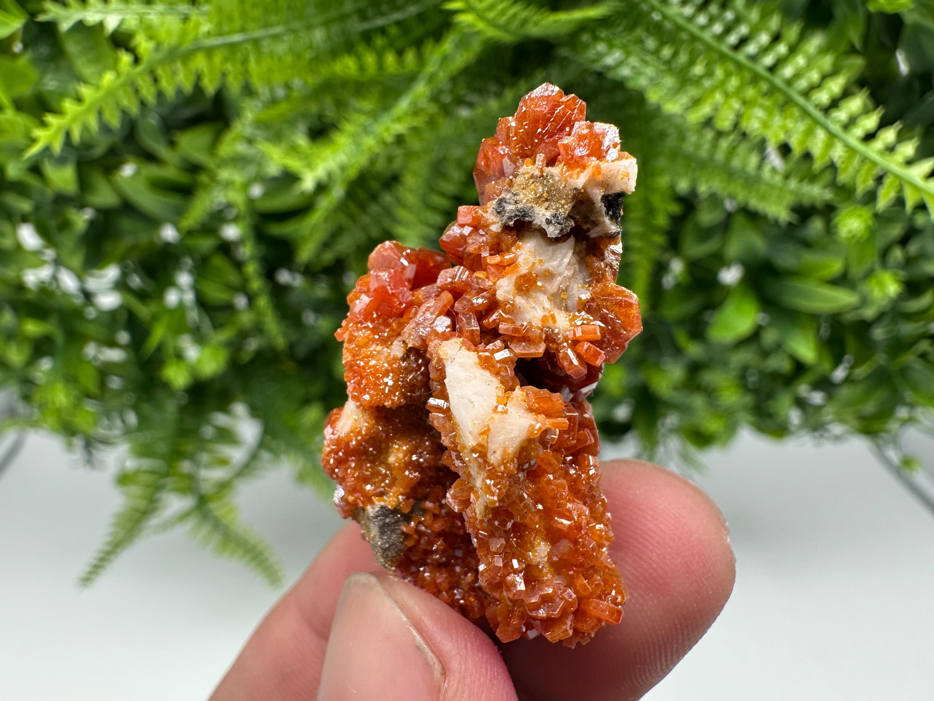 Red Vanadinite on Barite from Marocco,crystal minerals Speciment cluster Vanadinite crystal Vanadinite Geology Vanadinite cluster minerals