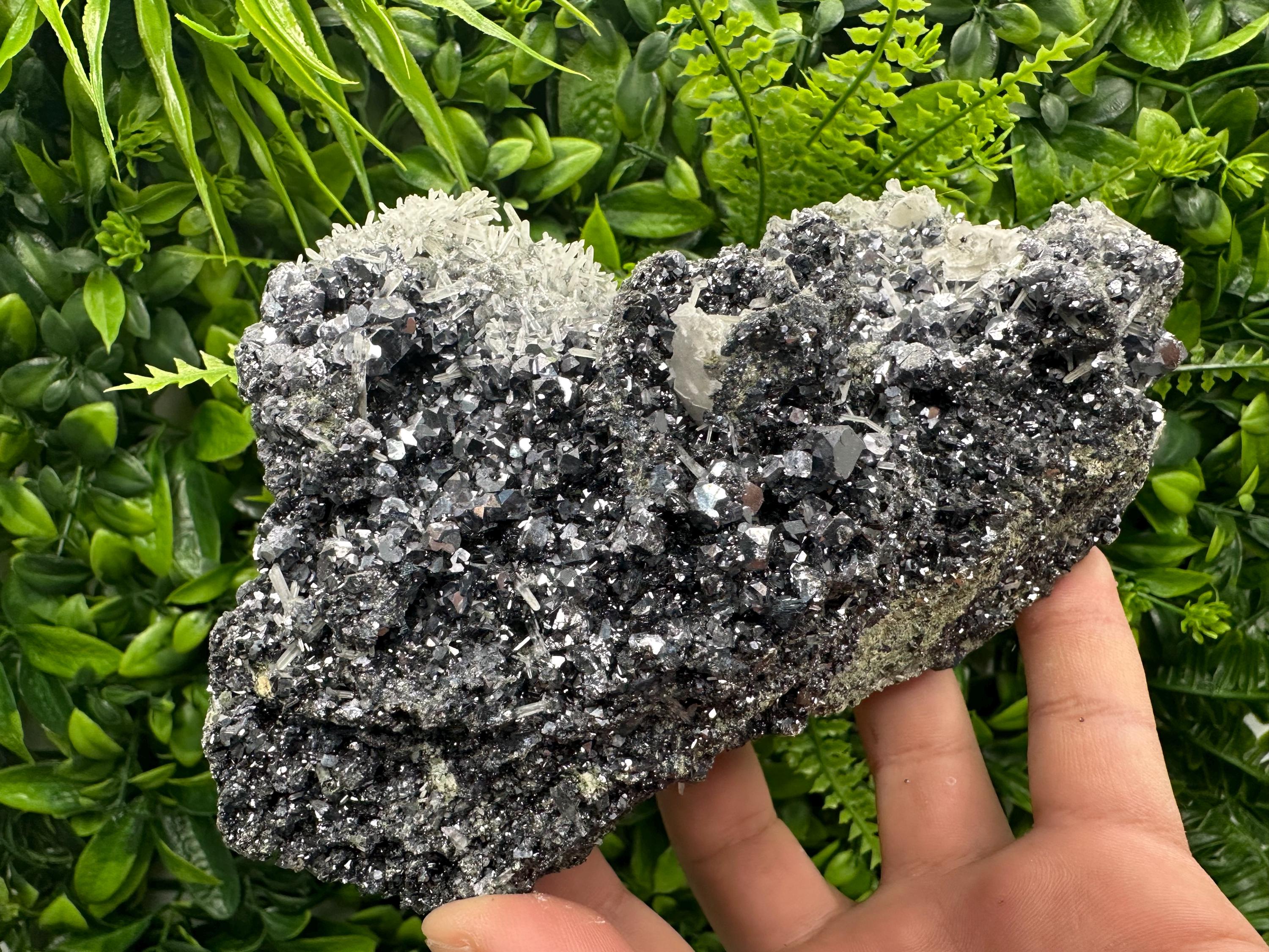 Galena on Sphalerite and Quartz: Borieva Mine, Bulgaria