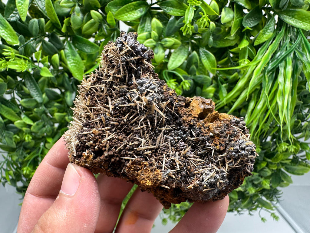 Rare Green/Yellow Pyromorphite and Hematite on Quartz, Bulgaria Mineral