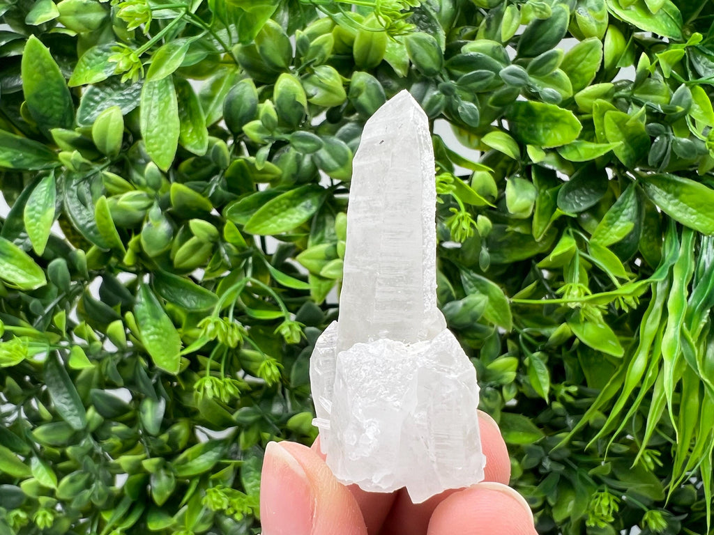 Transparent Quartz with Pyrite, Krushev Dol Mine, Bulgaria