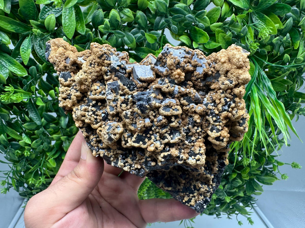 Skeletal Galena with Dolomite: Krushev Dol Mine, Bulgaria
