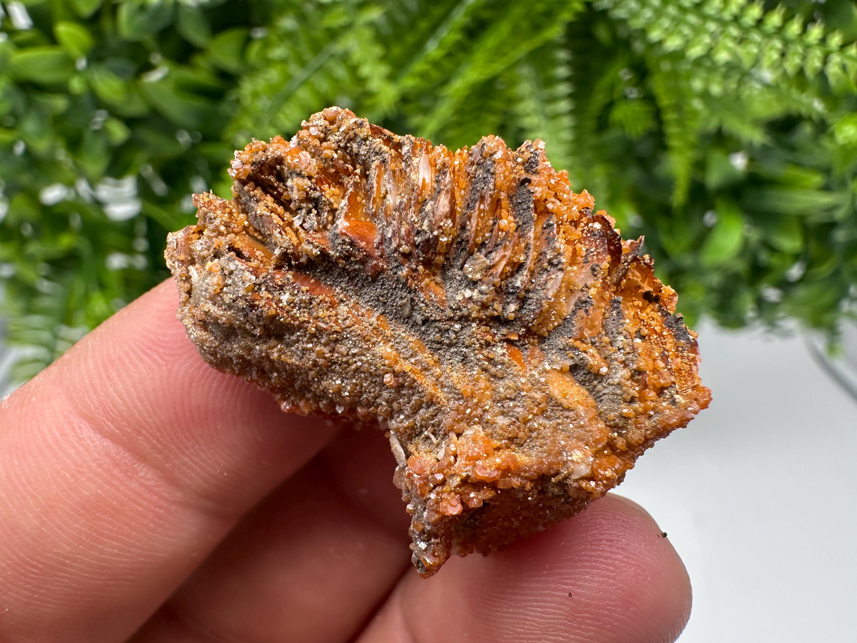 Red Vanadinite on Barite from Marocco,crystal minerals Speciment cluster Vanadinite crystal Vanadinite Geology Vanadinite cluster minerals