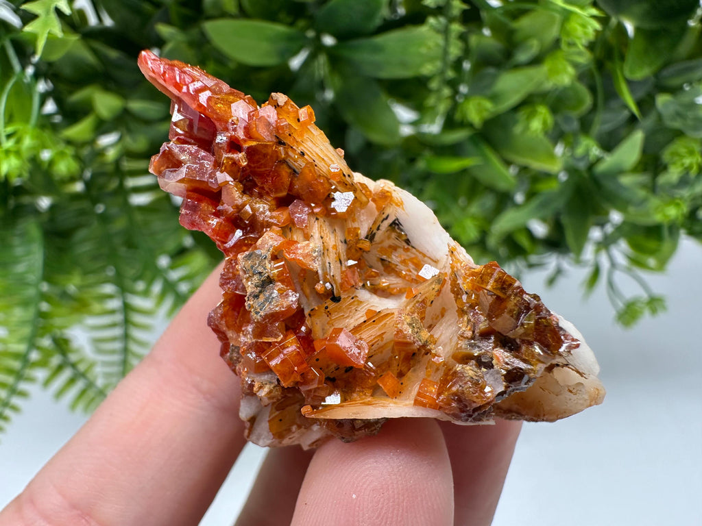 Red Vanadinite on Barite from Marocco,crystal minerals Speciment cluster Vanadinite crystal Vanadinite Geology Vanadinite cluster minerals