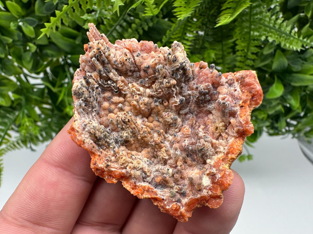 Moroccan Red Chalcedony Crystal Specimen: Rare Mineral Gift