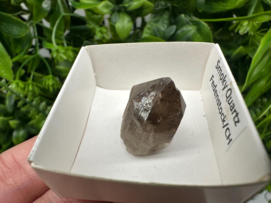 Rare Fedenstock Smoky Quartz, Swiss Mineral Specimen (20/20MM)