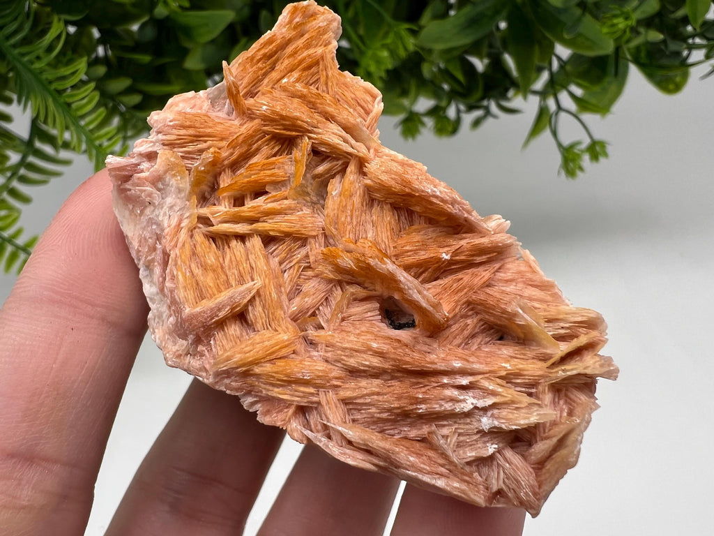 Wonderful Baryte with Cerussite on Galena from Morocco,Crystal, Mineral,Specimen,Cluster,Crystals,Barite Crystal,Cerussite Crystal,Specimen