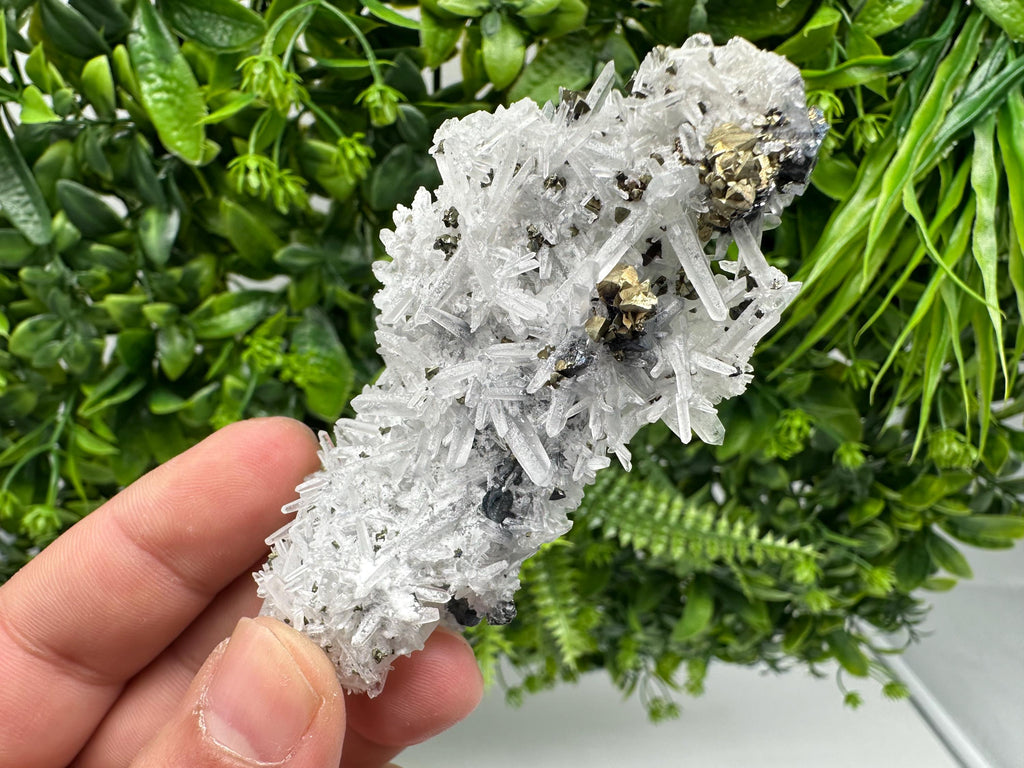 Aesthetic Natural shiny Galena whit Siderite and Quartz from 9 th September mine,Bulgaria,collection specimen,rare galena,Galena cluster