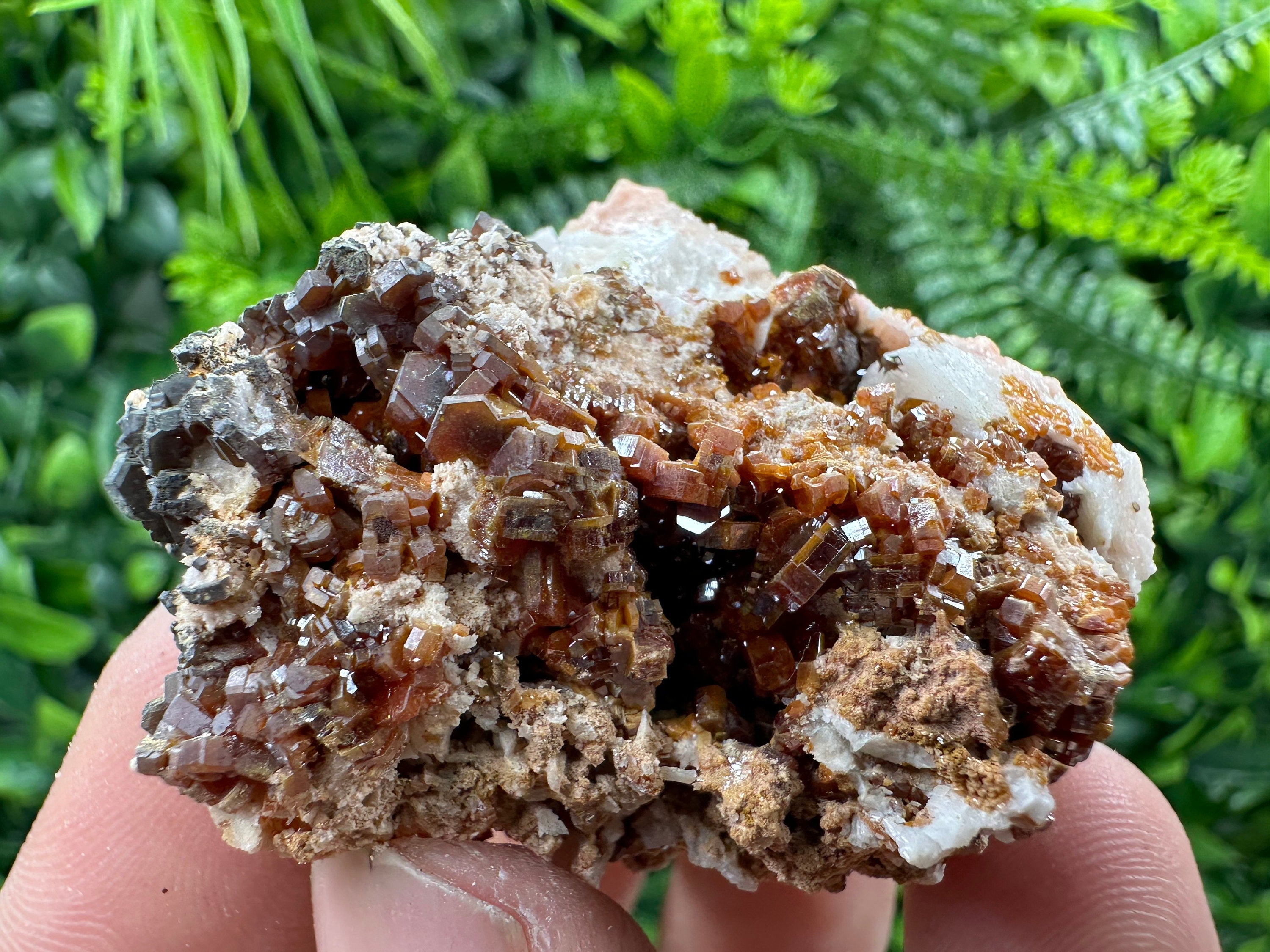 Red Vanadinite Crystal Cluster on Matrix, Morocco Specimen