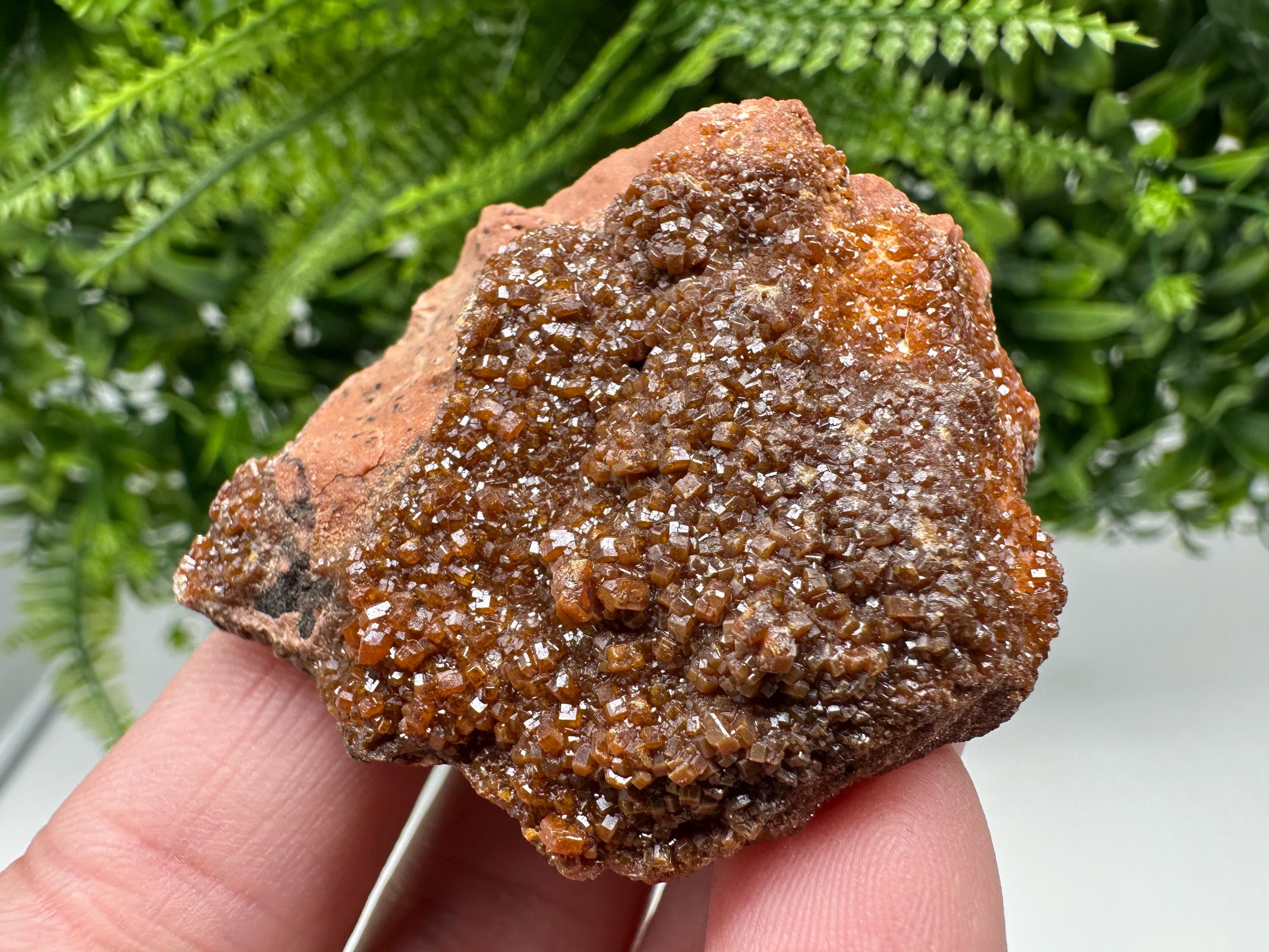 Red Vanadinite on Matrix from Marocco,crystal minerals Speciment cluster Vanadinite crystal Vanadinite Geology Vanadinite cluster minerals