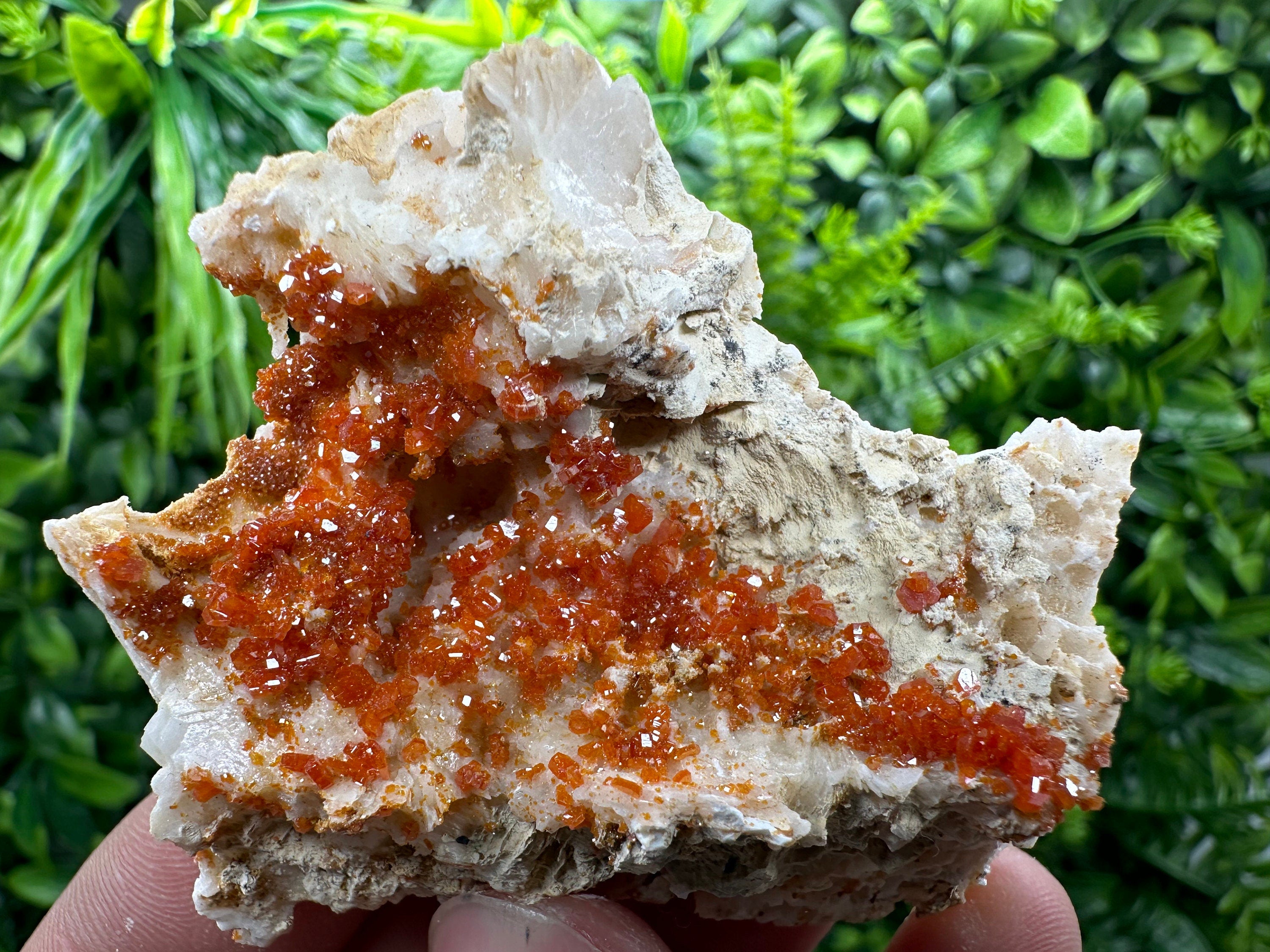 Red Vanadinite Crystal Cluster on Matrix, Morocco Mineral Specimen