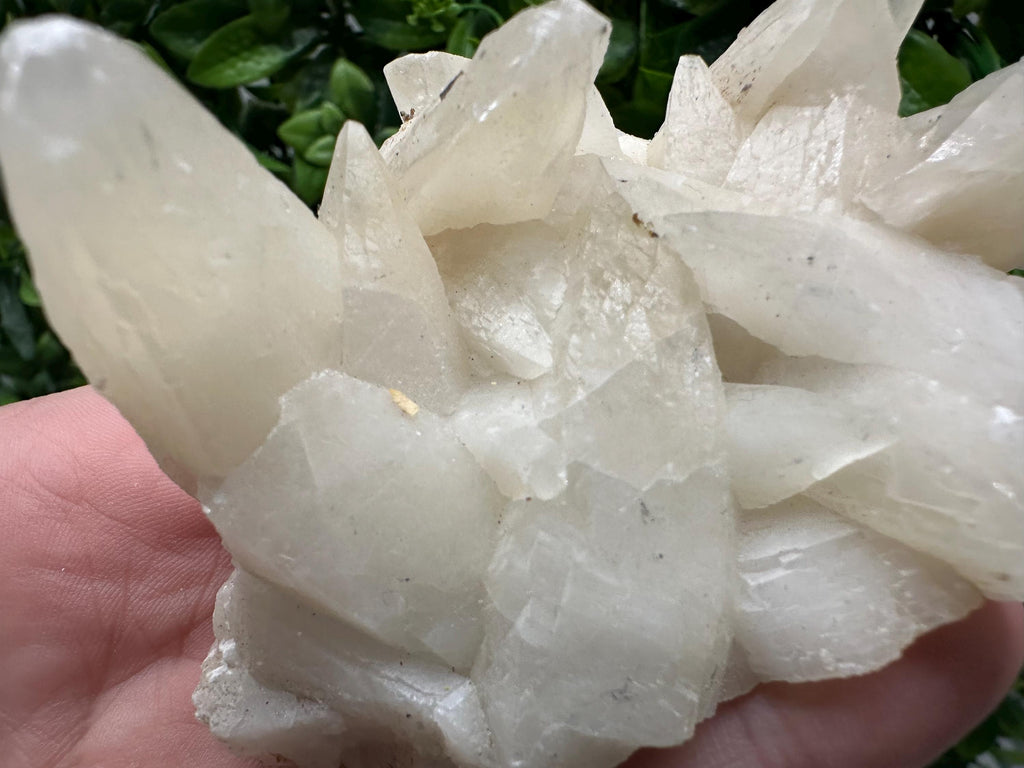 Calcite on Green Quartz: Laki Bulgaria Healing Crystal