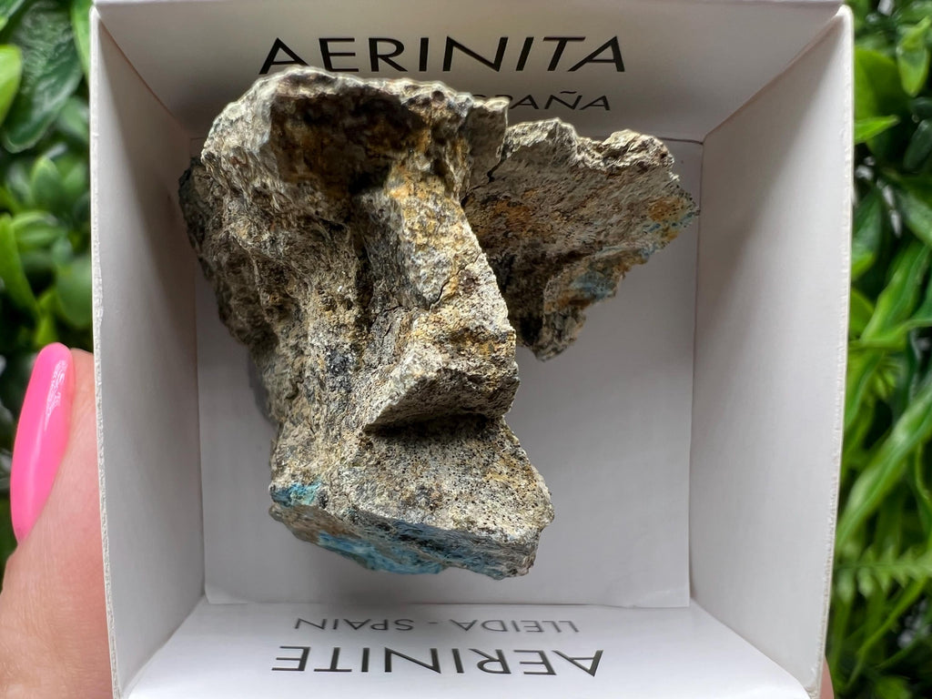 Rare Raw Aerinite Mineral Specimen: Lleida, Spain Crystal