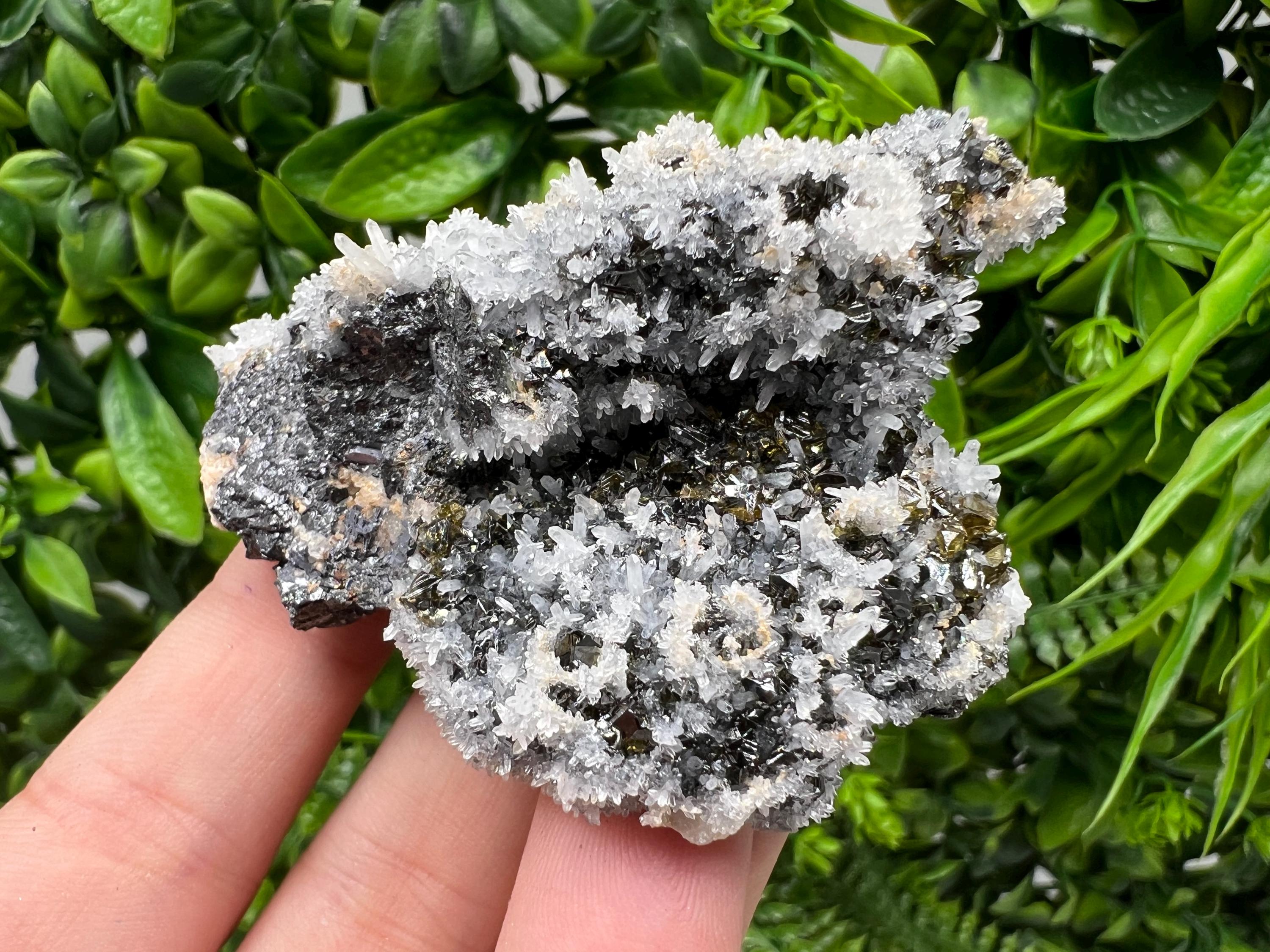 Stunning Gems Sphalerite Cleiopfane on Quartz from Krushev dol mine,Madan,Bulgaria,natural,collectible mineral specimen,home decor stone