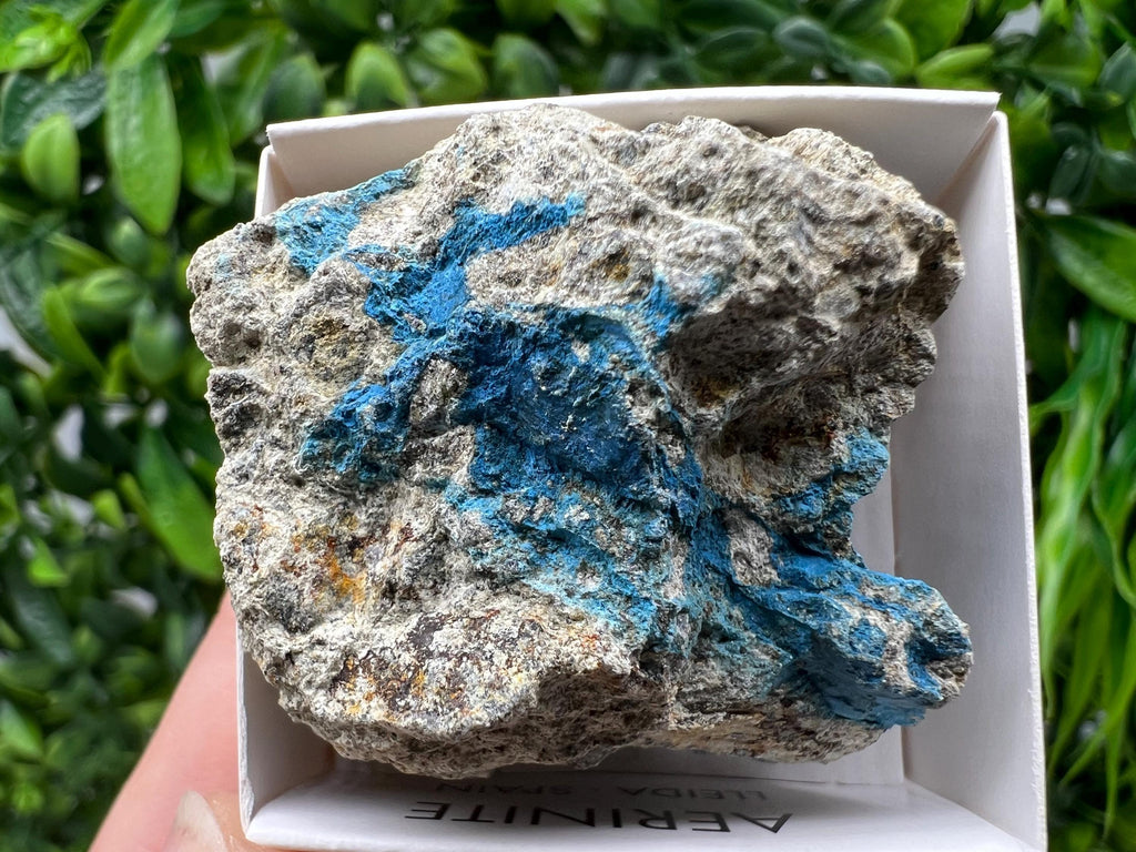 Rare Raw Aerinite Mineral Specimen: Collection Crystal from Lleida, Spain (4/3.5 CM)