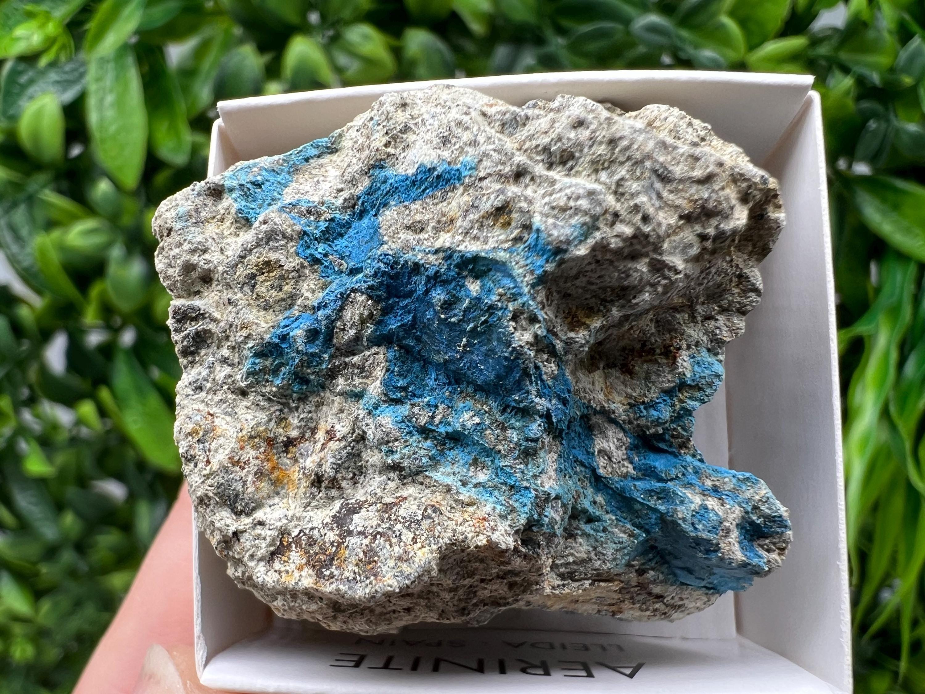 Rare Raw Aerinite Mineral Specimen: Collection Crystal from Lleida, Spain (4/3.5 CM)