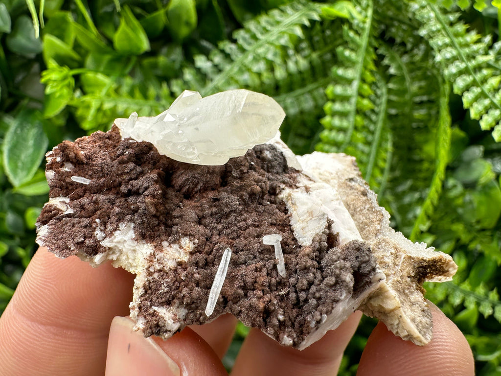 Quartz with Chlorite on Rhodochrosite and Siderite Mineral Specimen