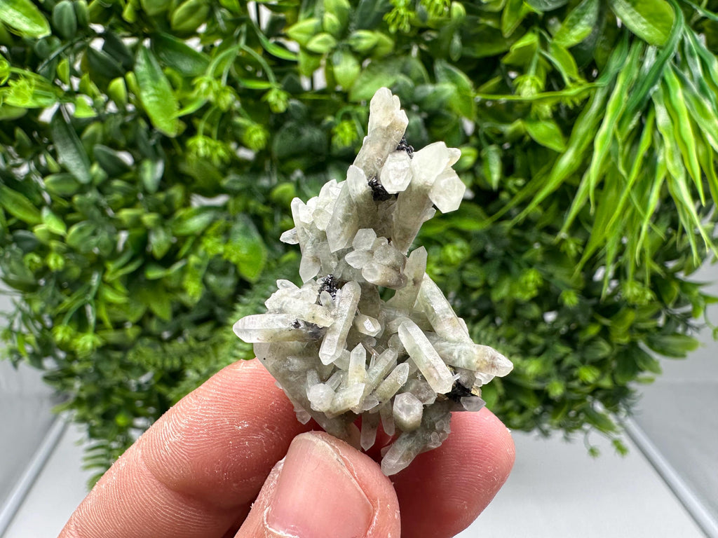 Wonderful Transparent Quartz on Chlorite Matrix,From Borieva mine,Madan,Bulgaria,Quartz,Quartz crystal,mineral specimen,collection quartz