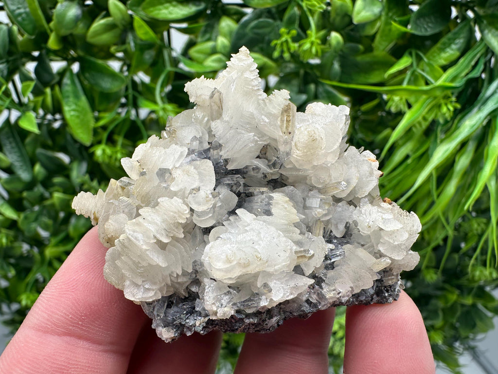 Quartz with Calcite and Chlorite: Borieva Mine Crystal Souvenir