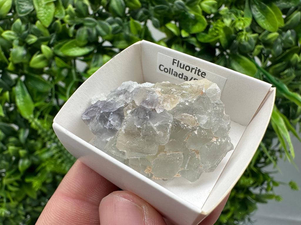 Green Raw Fluorite Cluster: Vintage Meditation Stone (4.5/3.5)