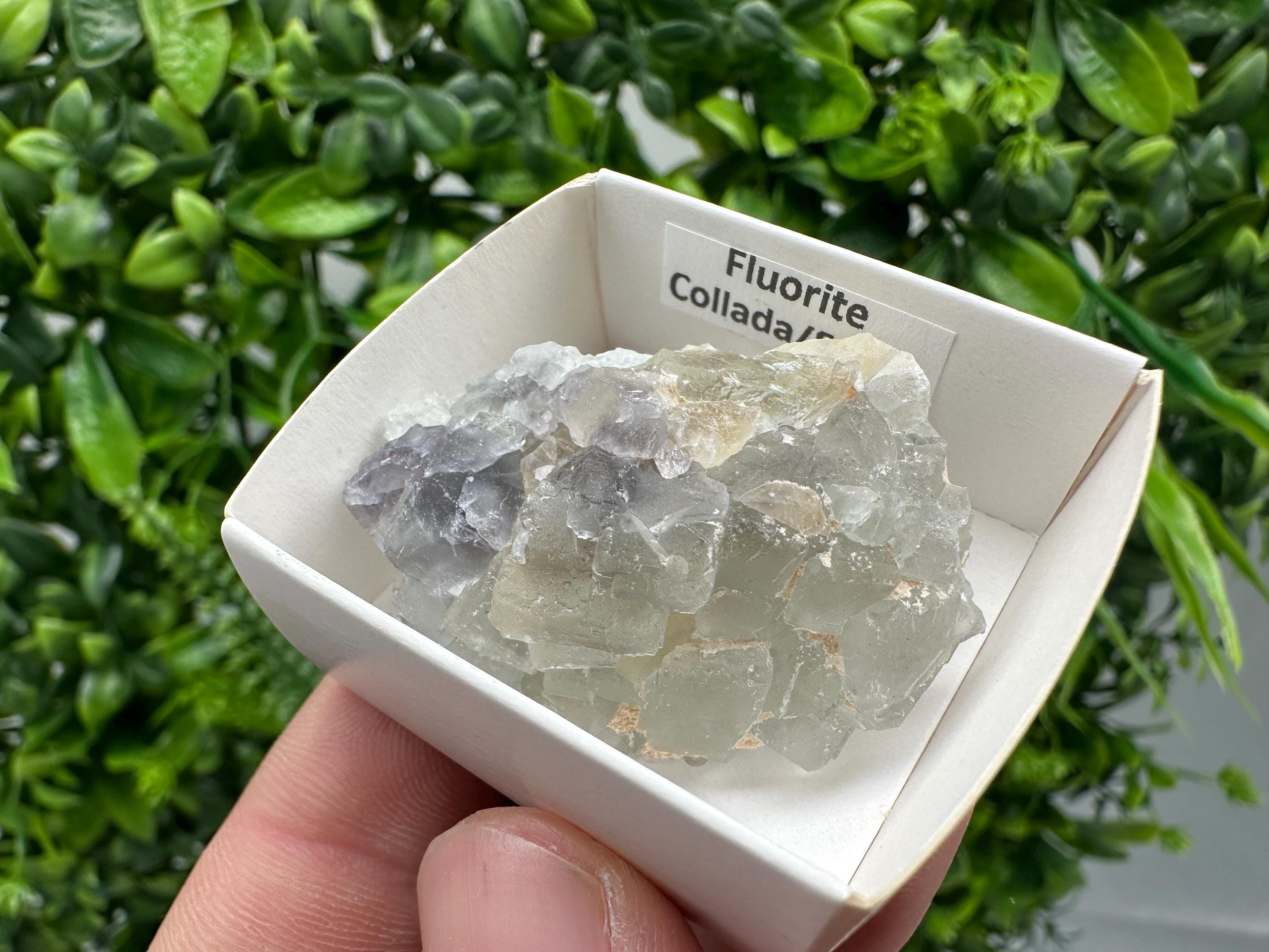 Green Raw Fluorite Cluster: Vintage Meditation Stone (4.5/3.5)