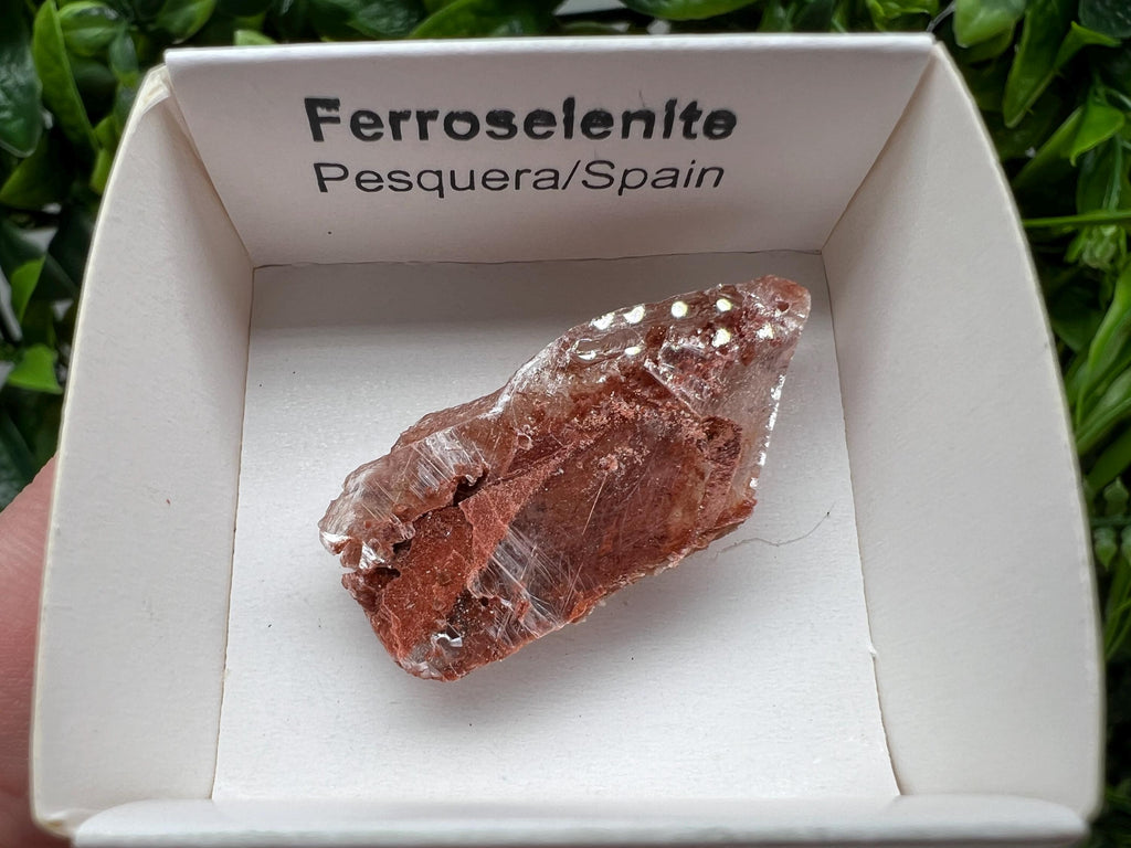 Rare Ferroselenite Crystal Mineral Specimen, Spain (3.4/1.8 cm)