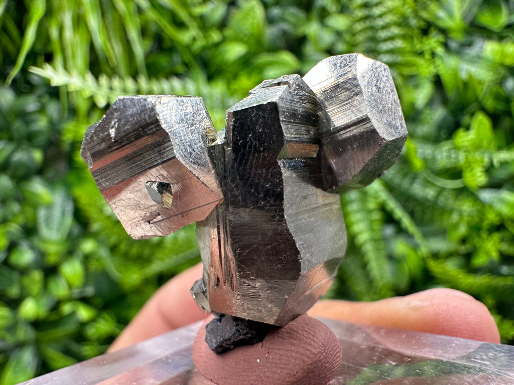 Rare Shiny Pyrite Cluster: Natural Crystal Mineral Souvenir
