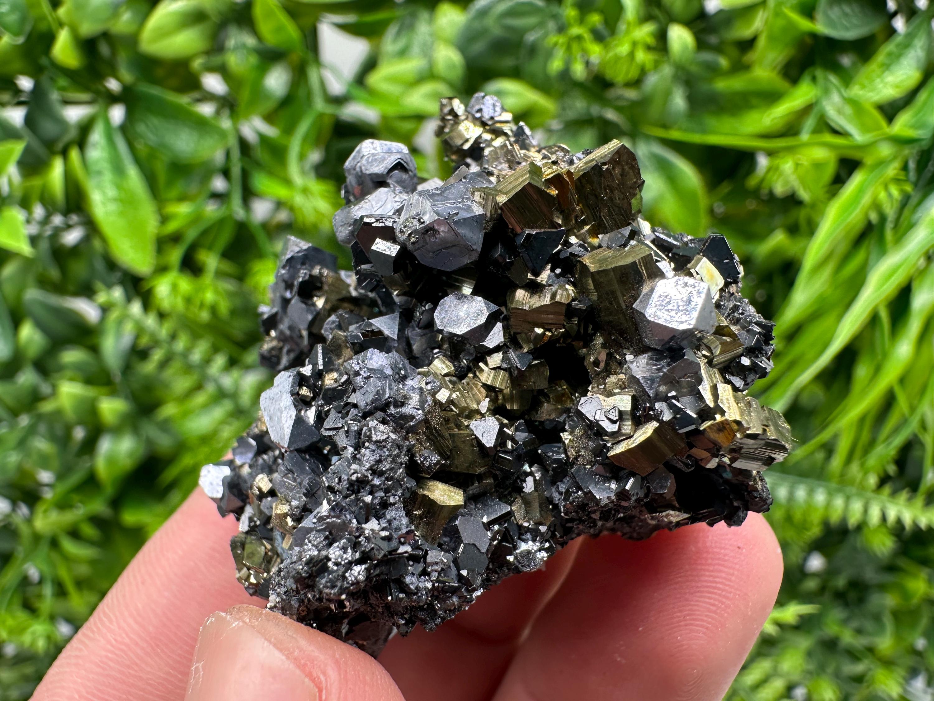 Galena on Pyrite Mineral Specimen, Borieva Mine, Bulgaria