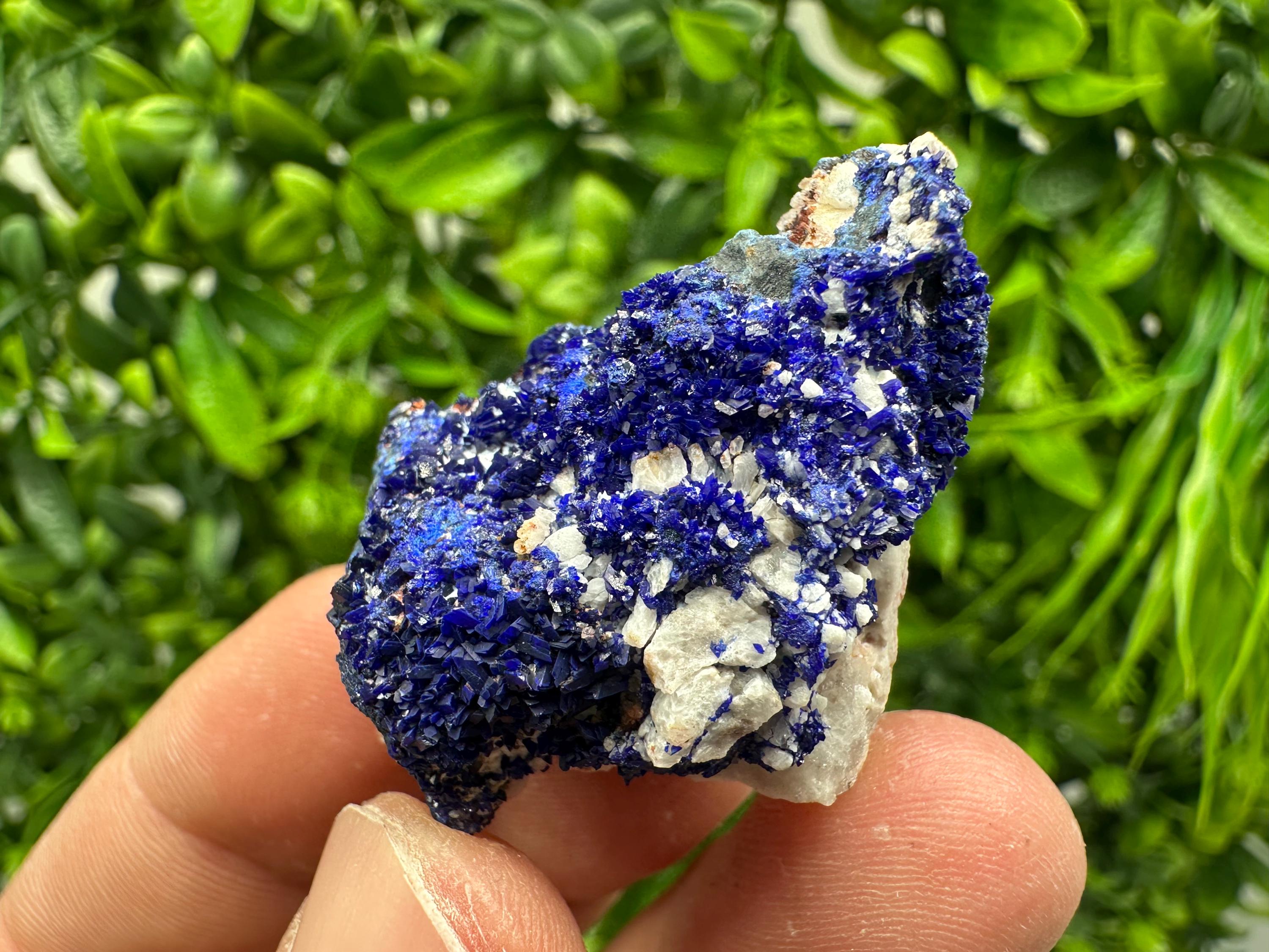 Crystallized Azurite-Kerrouchen,Morocco-Blue Azurite Specimen-High Quality Blue Azurite-Azurite Mineral Specimen, gemmy,lustrous of Azurite