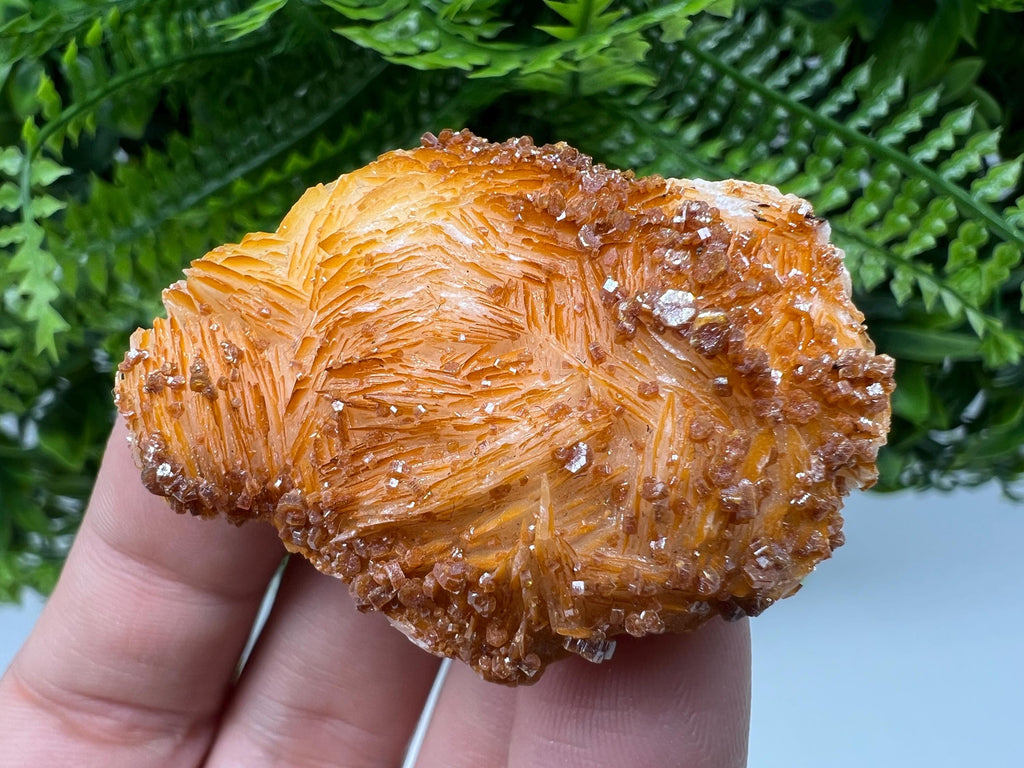 Red Vanadinite Crystal on Barite Matrix, Morocco Mineral Specimen