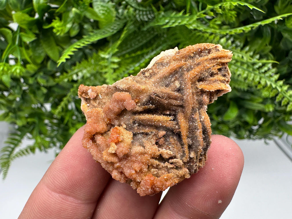 Red Vanadinite on Barite, Morocco Crystal Specimen