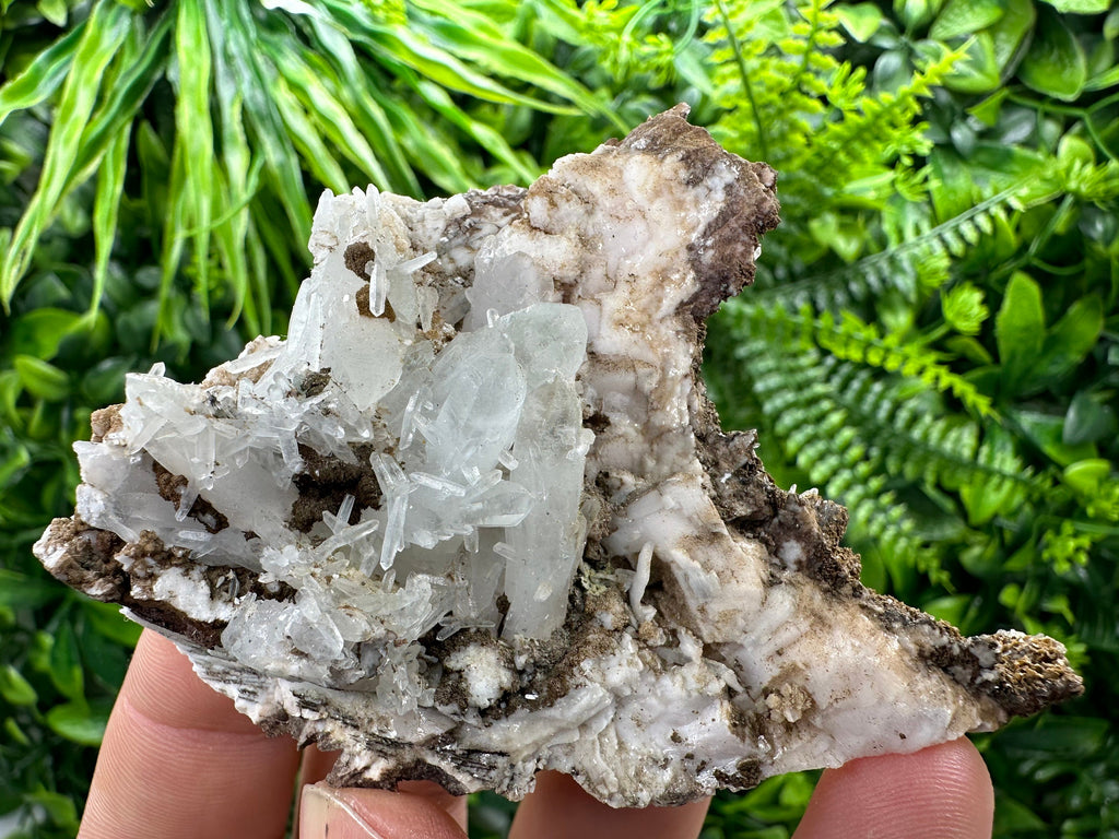 Chlorite Quartz on Rhodochrosite Mineral Specimen