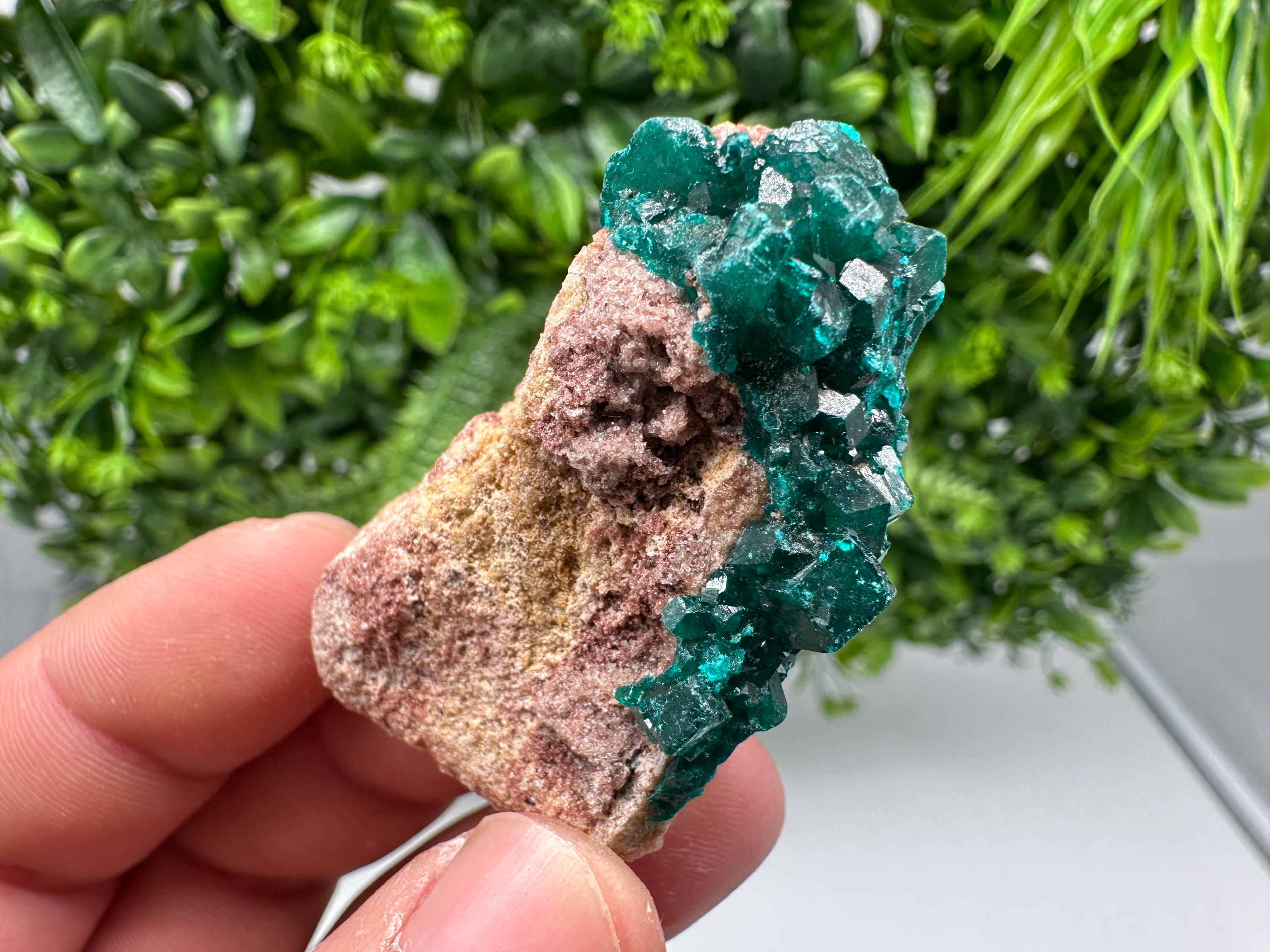 Stunning Green Dioptase from Sanda Hills,Mindouli,Pool Department,Mindouli District,Congo,green Dioptase,Dioptas Crystal,Dioptase collecting