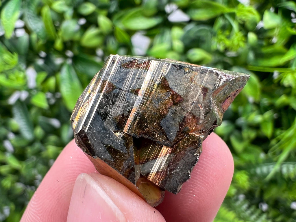 Rare Crystallized Pyrite Cluster, Borieva Mine Specimen