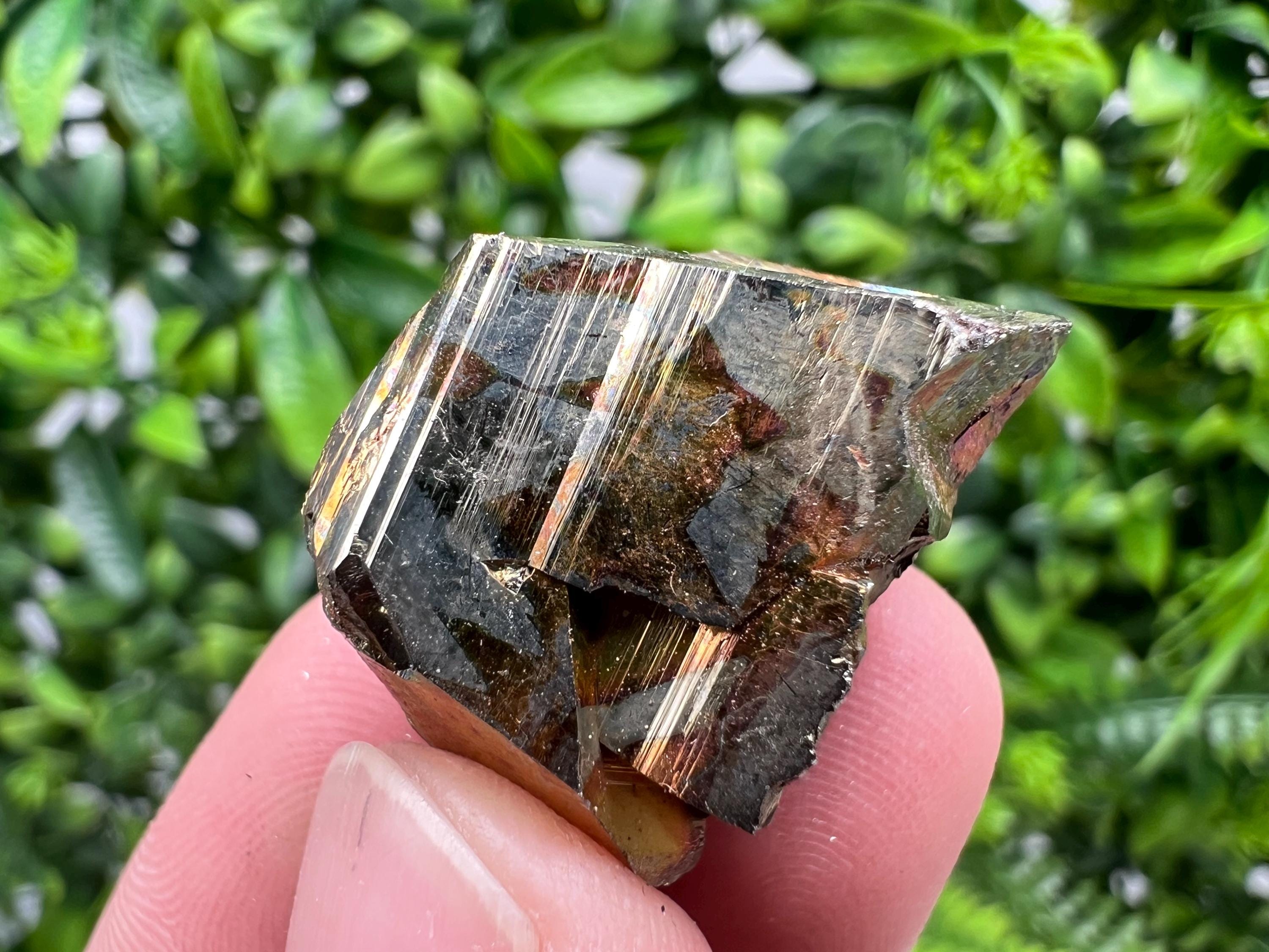 Rare Crystallized Pyrite Cluster, Borieva Mine Specimen