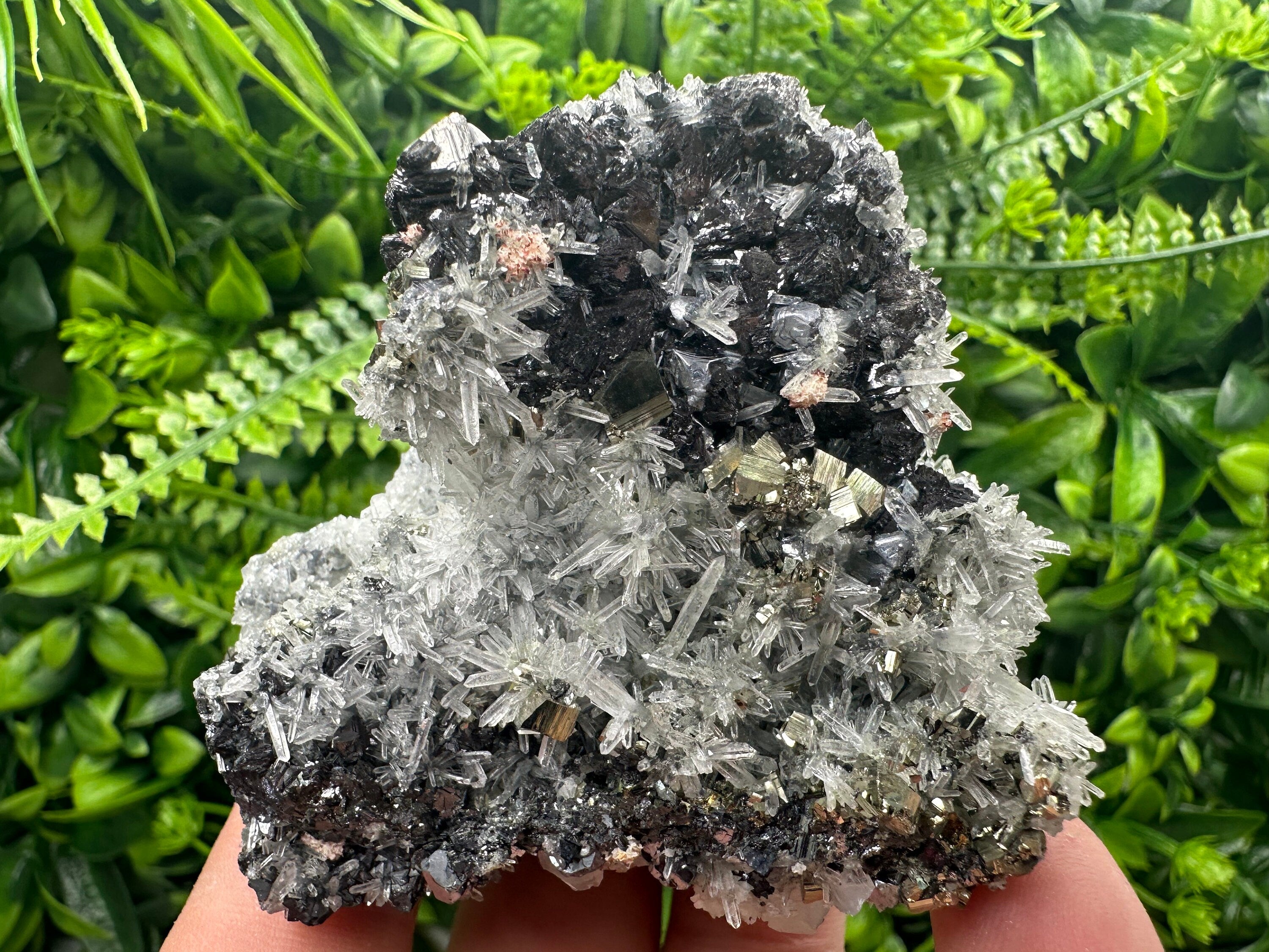 Sphalerite Galena Pyrite on Quartz, Borieva Mine Mineral Specimen