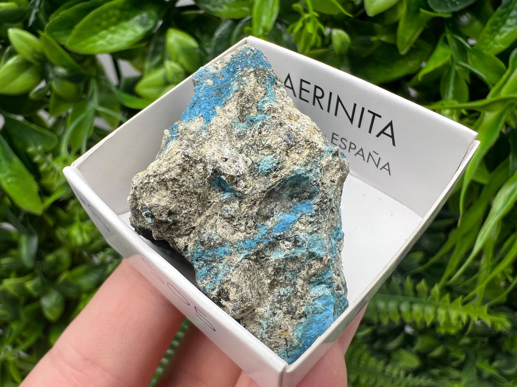 Rare Raw Aerinite Mineral Specimen: Lleida Spain Crystal Collection