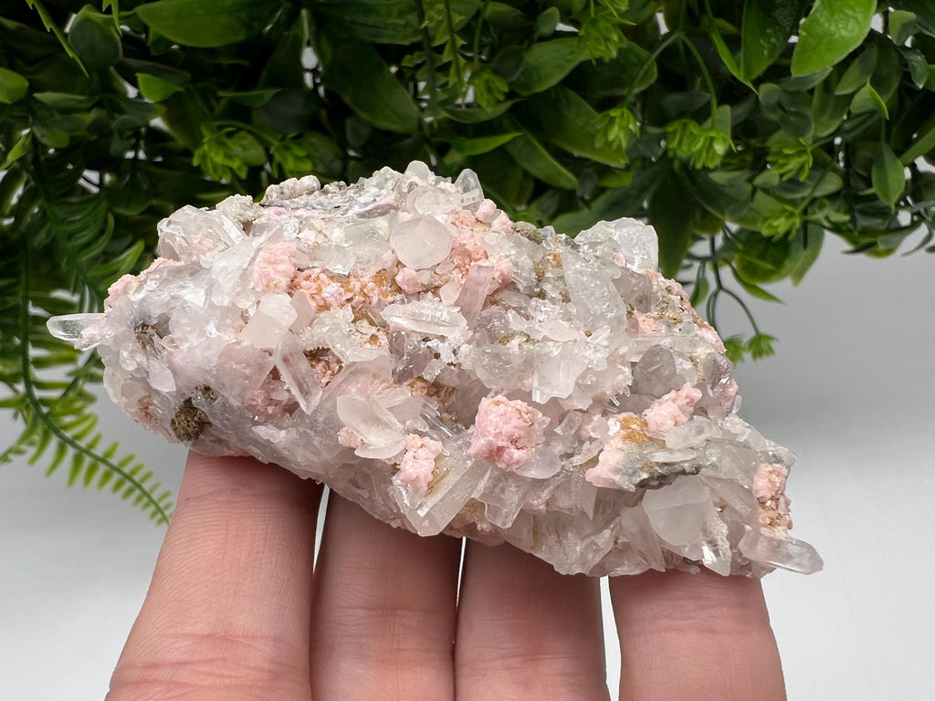 Pink Rhodochrosite Mineral Specimen, Starnica Mine, Bulgaria