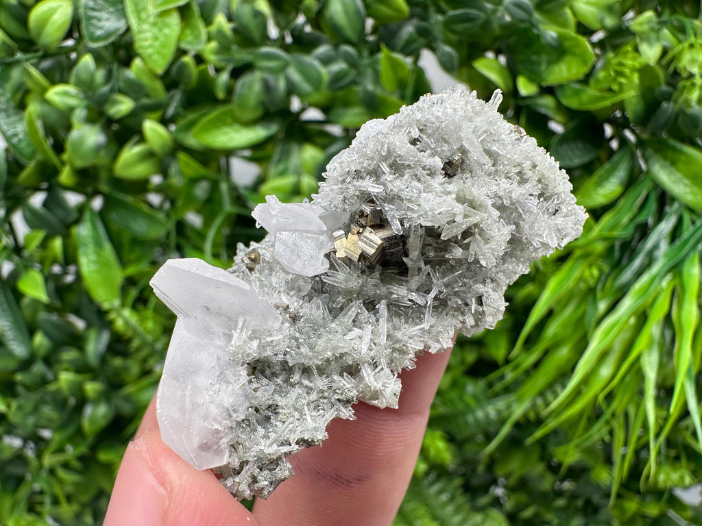 Pyrite on Green Quartz Mineral Specimen, Borieva Mine