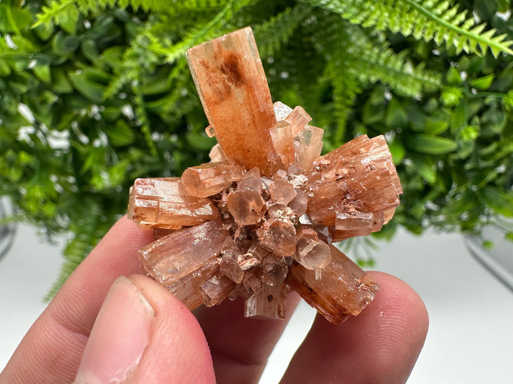 Moroccan Aragonite Sputnik Crystal Cluster: Raw Stone Decor
