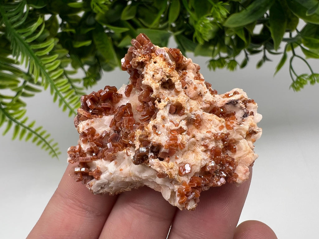 Red Vanadinite on Barite from Marocco,crystal minerals Speciment cluster Vanadinite crystal Vanadinite Geology Vanadinite cluster minerals