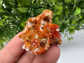 Red Vanadinite on Barite Specimen: Moroccan Crystal Cluster (3.5/3/2cm, 22 grams)