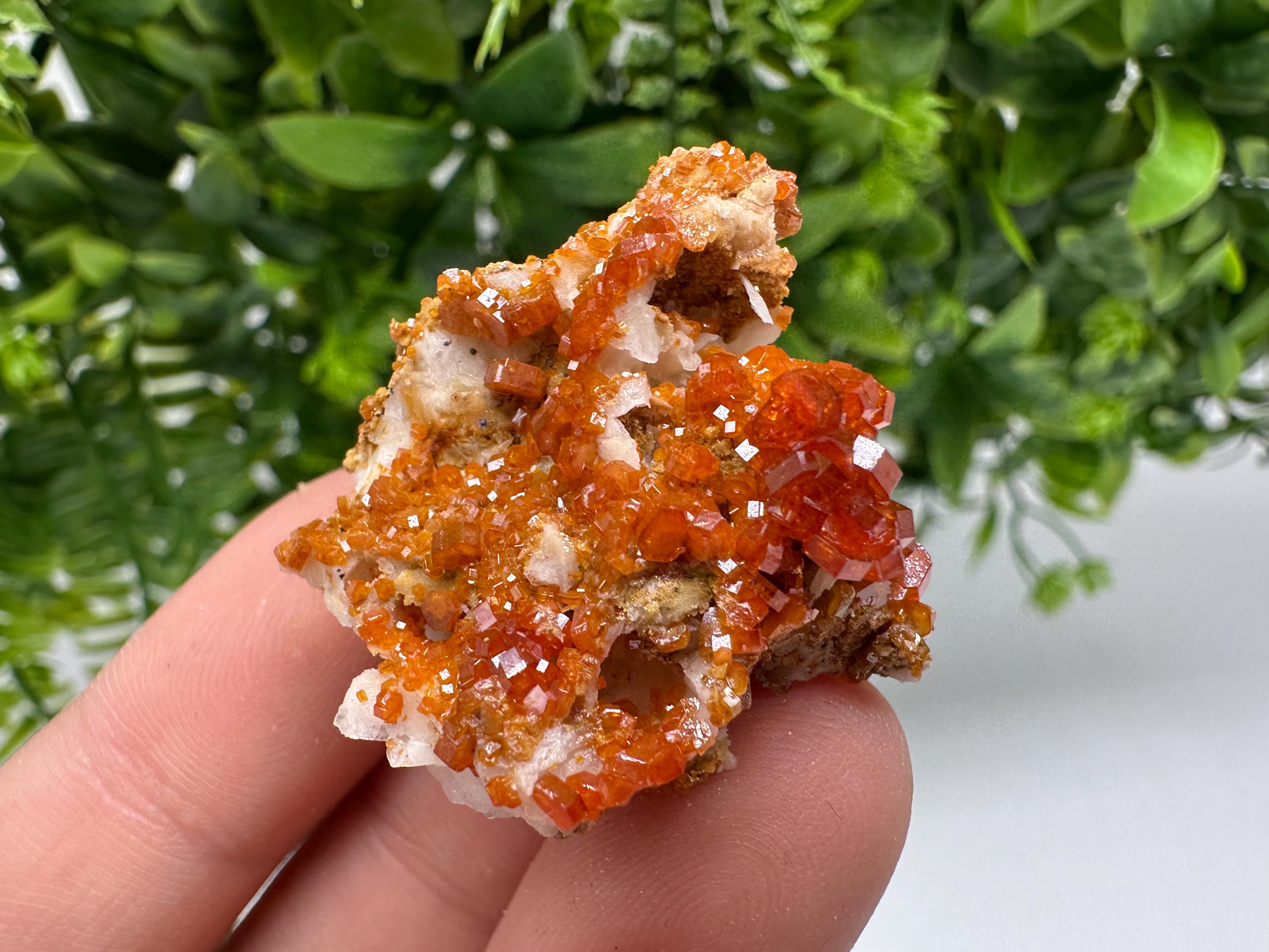 Red Vanadinite on Barite Specimen: Moroccan Crystal Cluster (3.5/3/2cm, 22 grams)