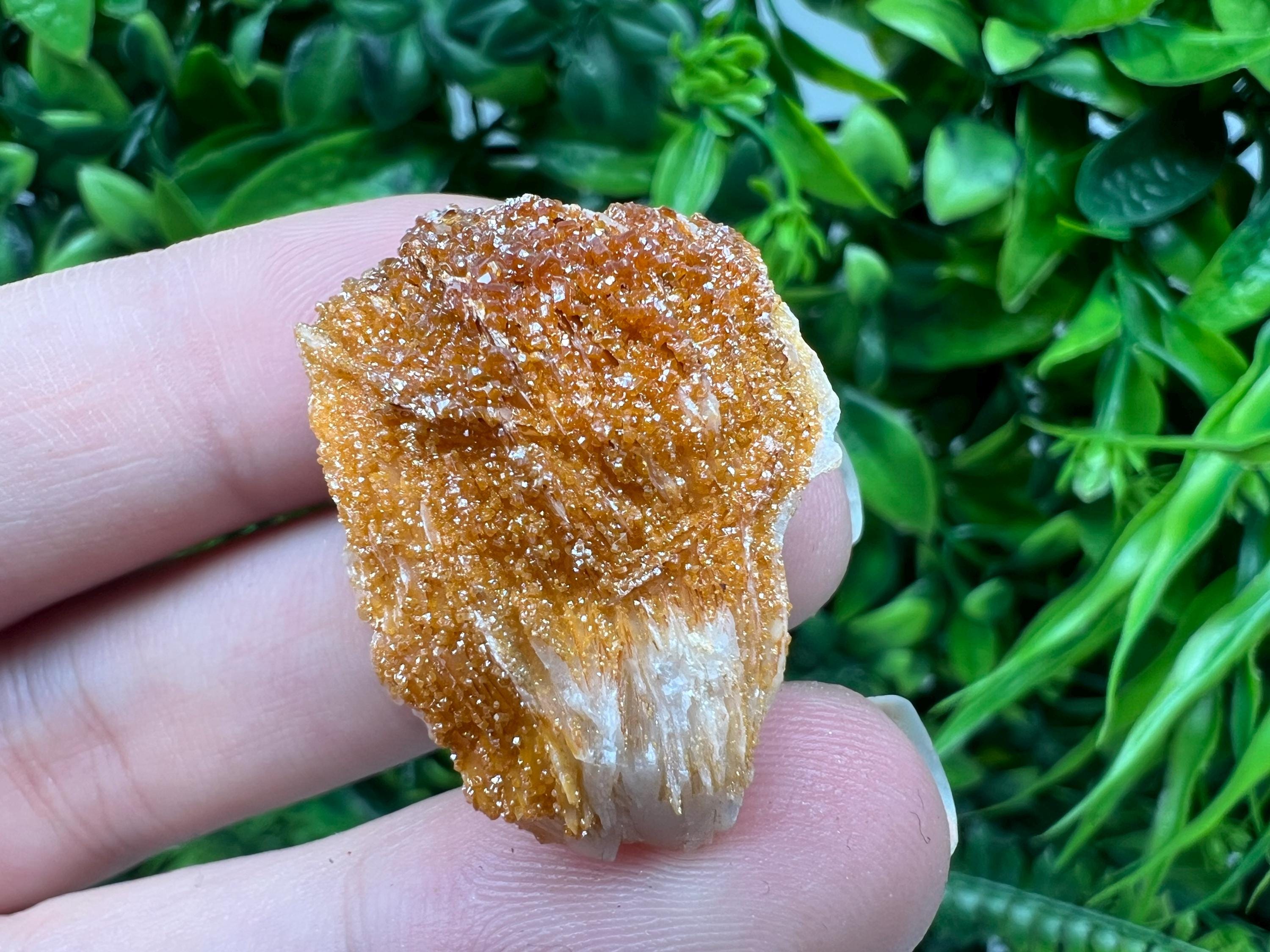 Red Vanadinite on Barite from Marocco,crystal minerals Speciment cluster Vanadinite crystal Vanadinite Geology Vanadinite cluster minerals