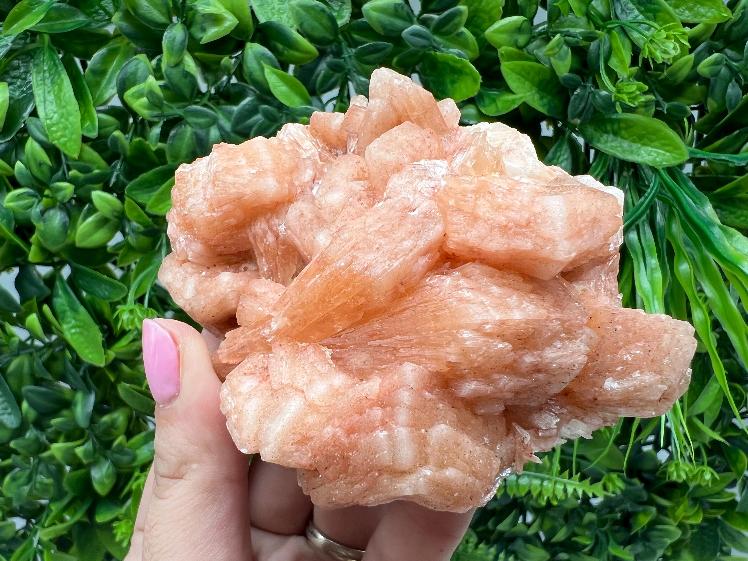 Apophyllite Stilbite Chalcedony Specimen: India Minerals Crystal Collection