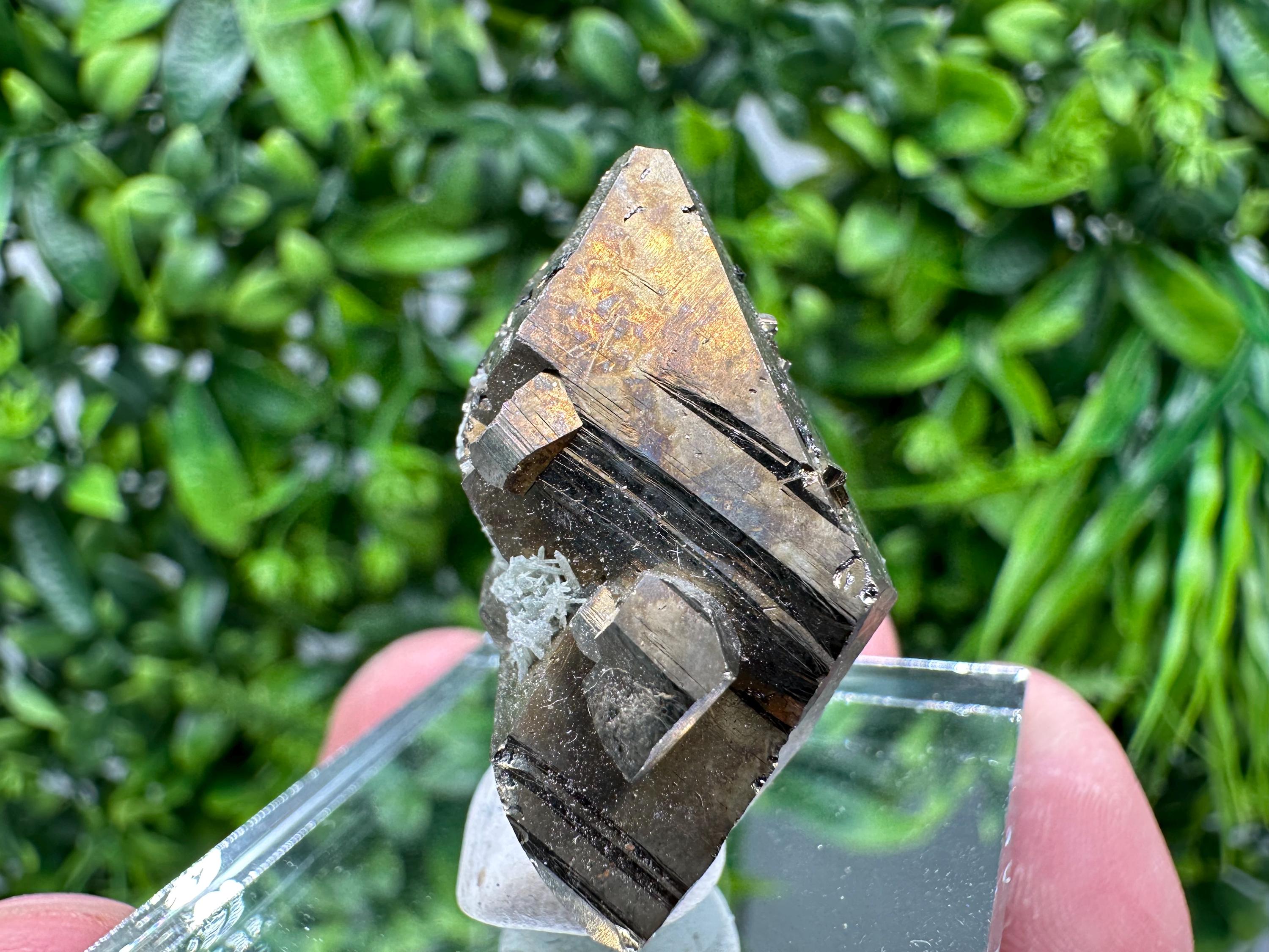 Mini Rainbow Pyrite Cluster: Borieva Mine, Bulgaria