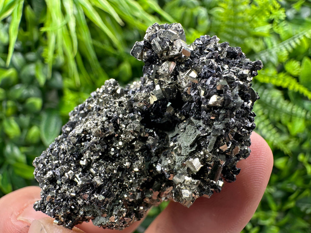 Pyrite on Quartz Needles: Borieva Mine Bulgaria Crystal Decor
